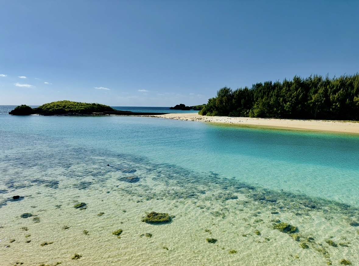 塩って歯にいいの？