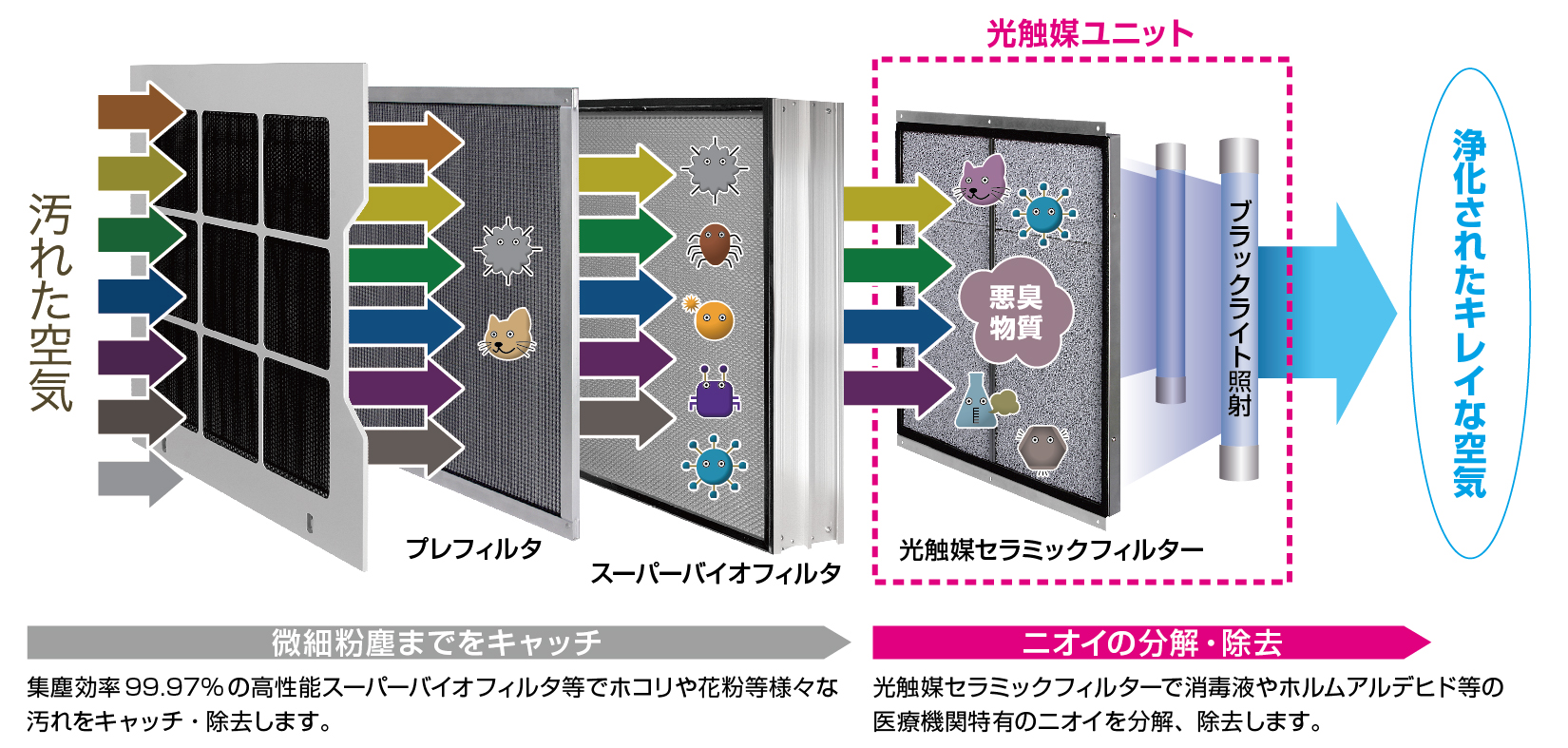 浄化された空気を提供します